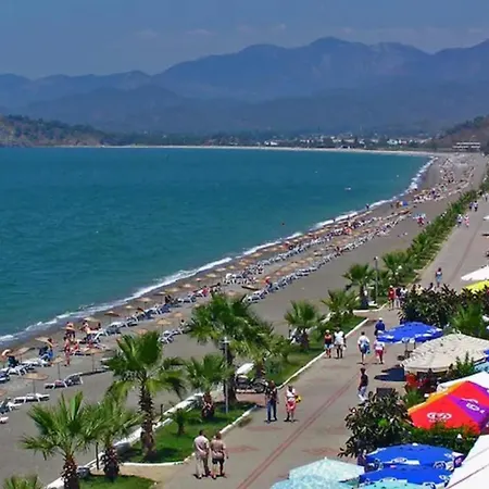 The Villages, C3 , Havuz, Barbeku, Balkon Teras أولدينيس